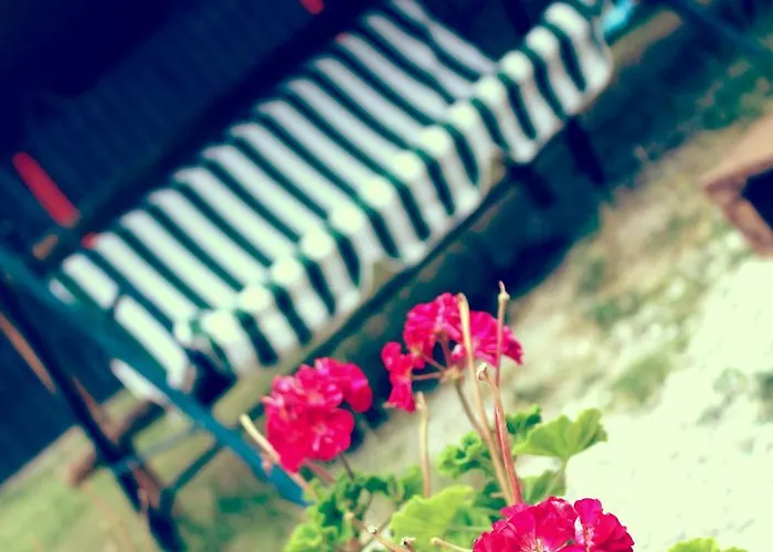 Bed & Breakfast Red House