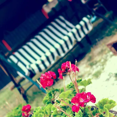 Bed and Breakfast Red House