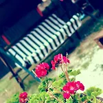 Bed & Breakfast Red House